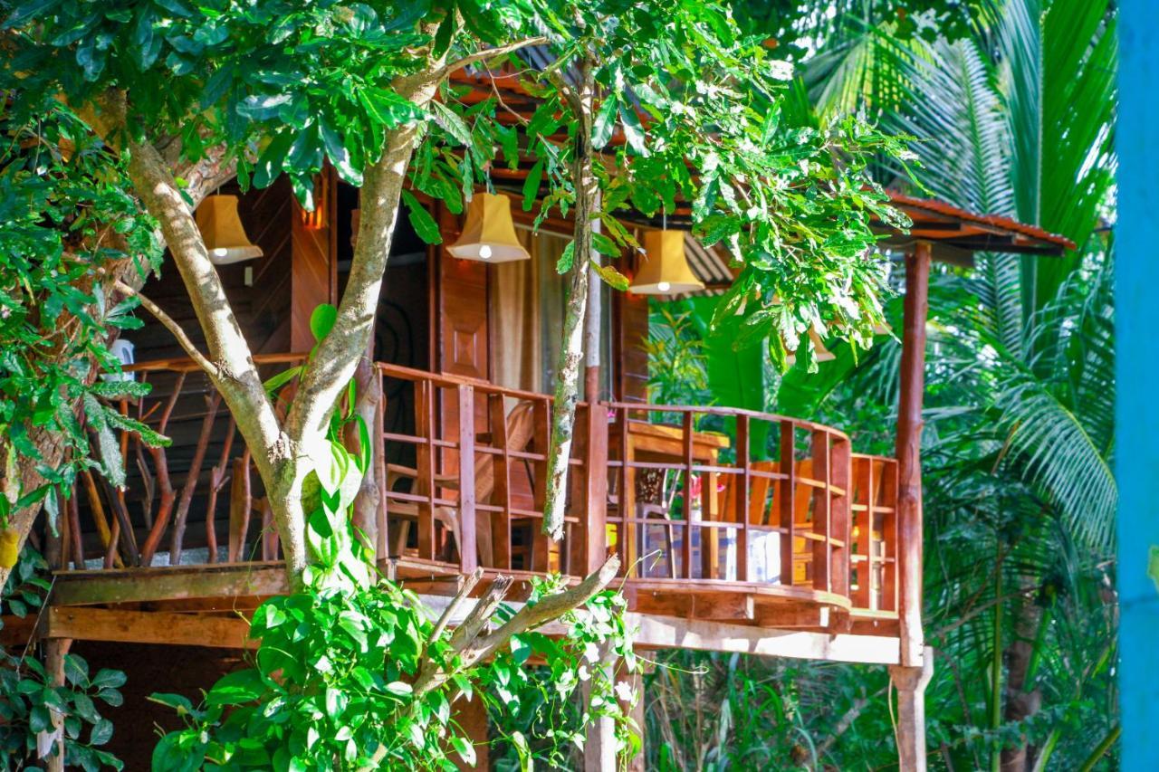 Experience The Comforts Of An Amazing Treehouse Сигирия Экстерьер фото