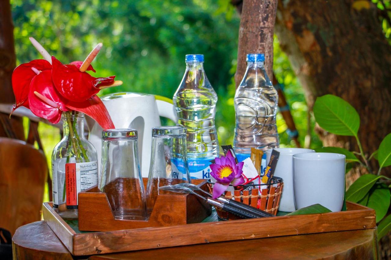 Experience The Comforts Of An Amazing Treehouse Сигирия Экстерьер фото