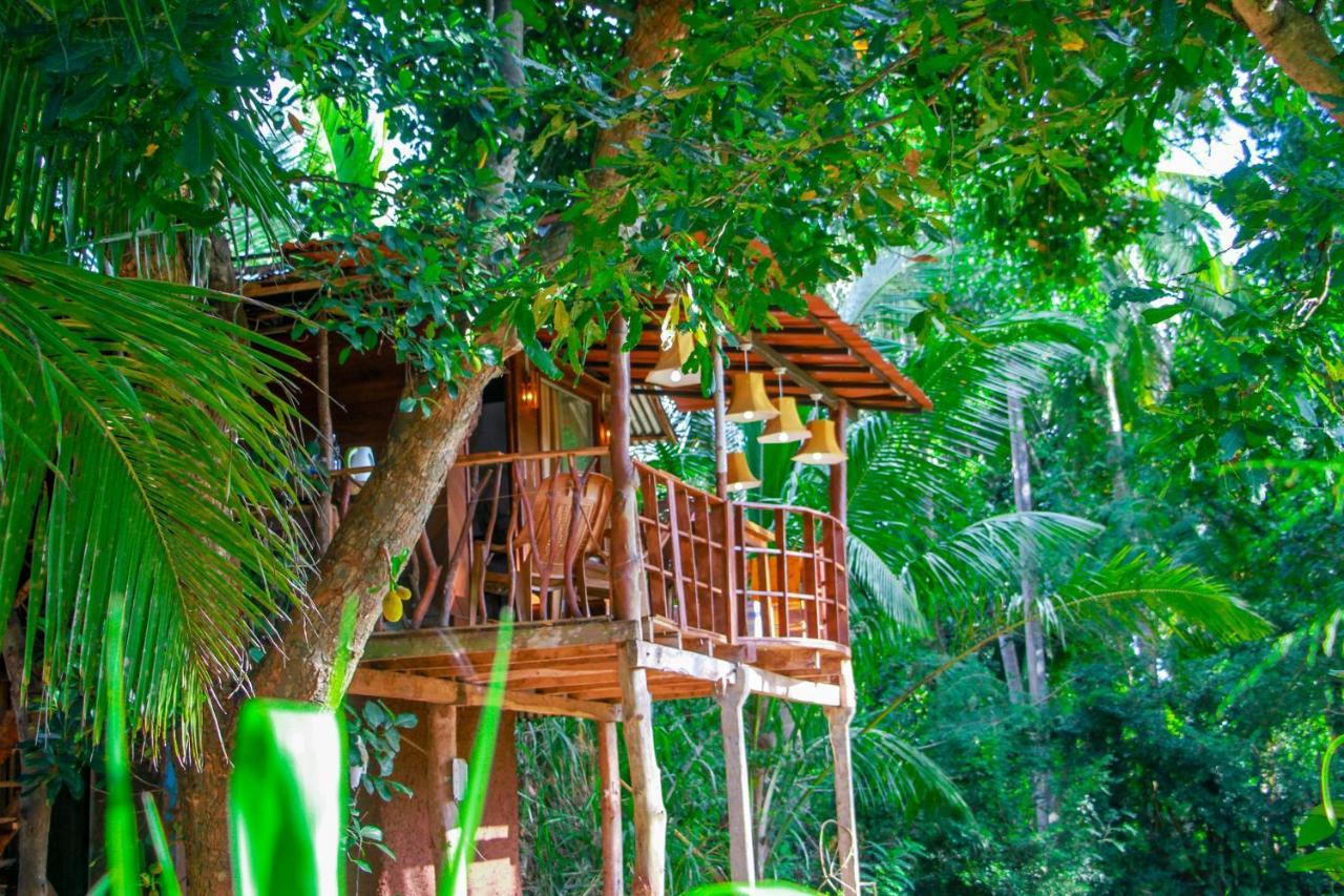 Experience The Comforts Of An Amazing Treehouse Сигирия Экстерьер фото